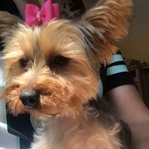 Meet your Posher, Eula